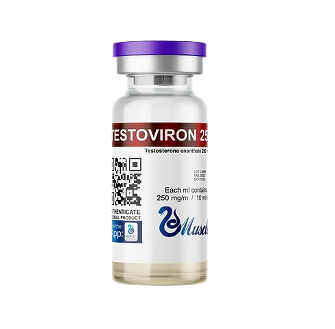 Testo Enant 250mg/ml (10ml)