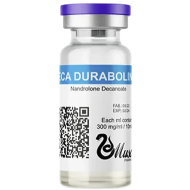 Deca 300mg/ml (10ml) MUSCLE